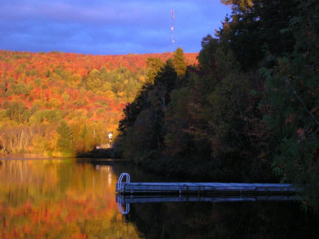 Motel Ours Bleu Lac-Saguay Luaran gambar